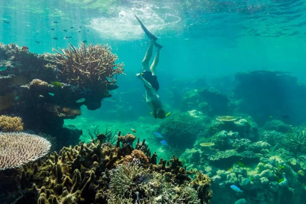 Snorkelling In Pink Beach