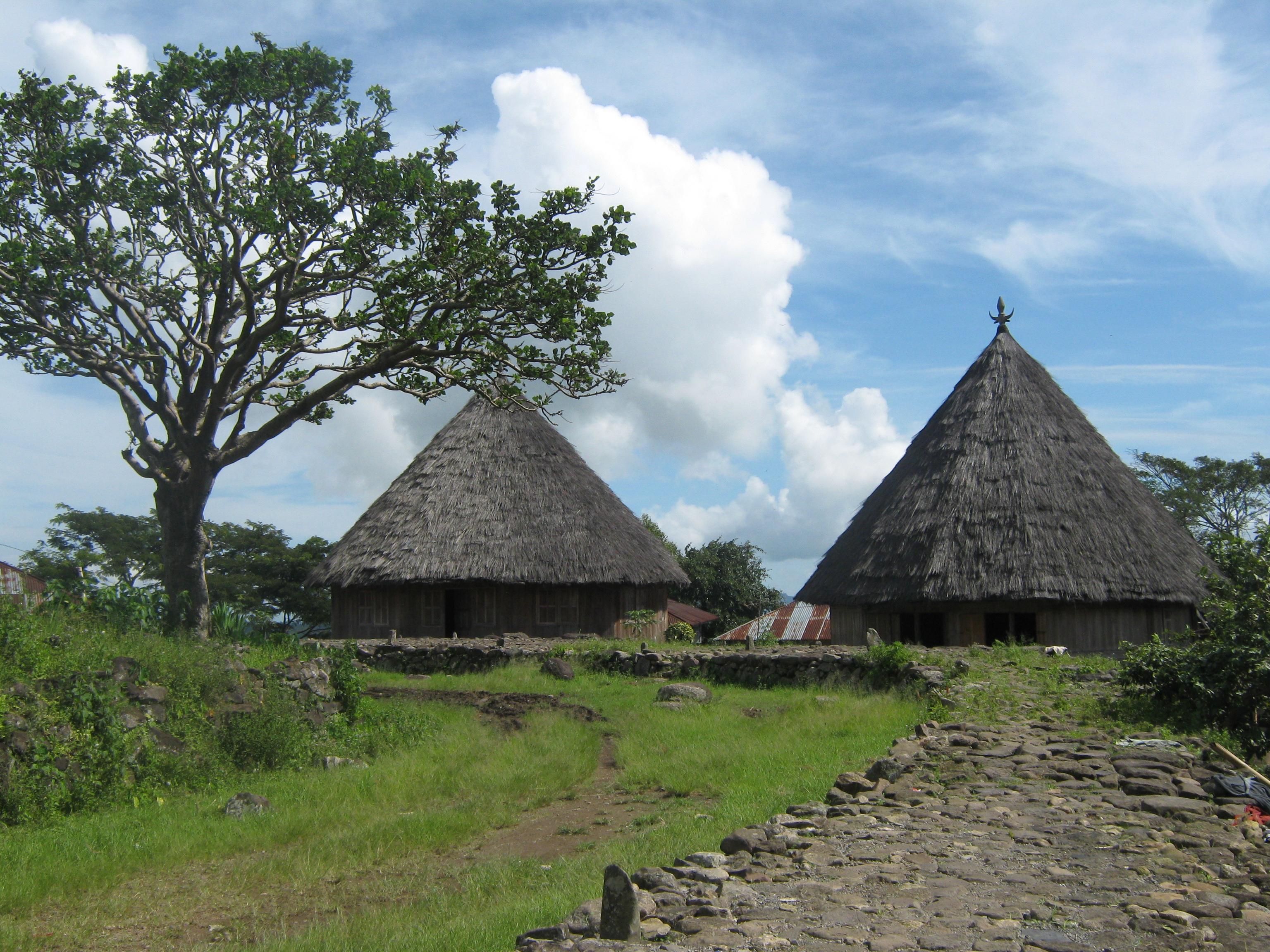 Ruteng Pu'u Traditional Village 