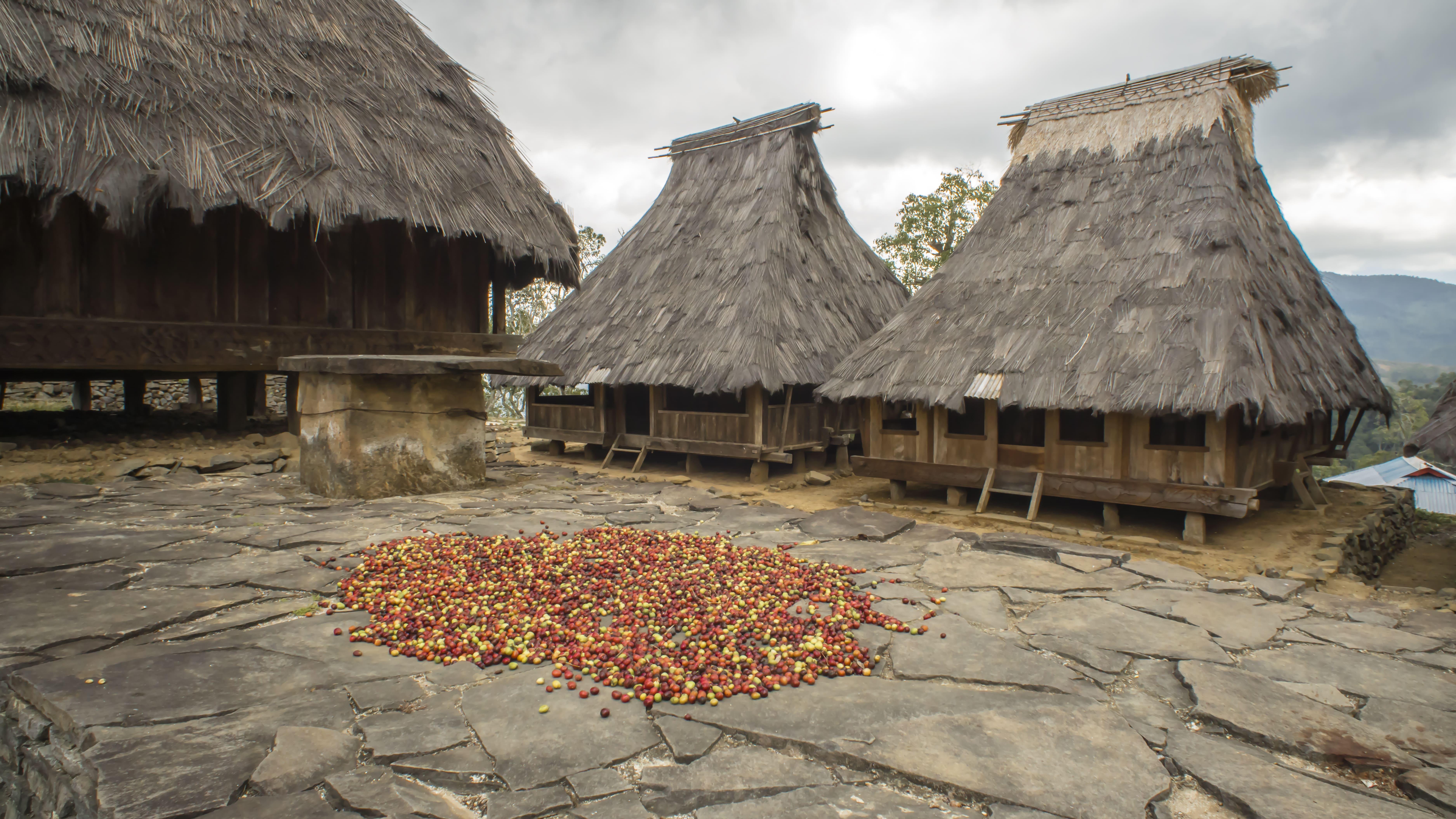 Wolo Gai Traditional Village