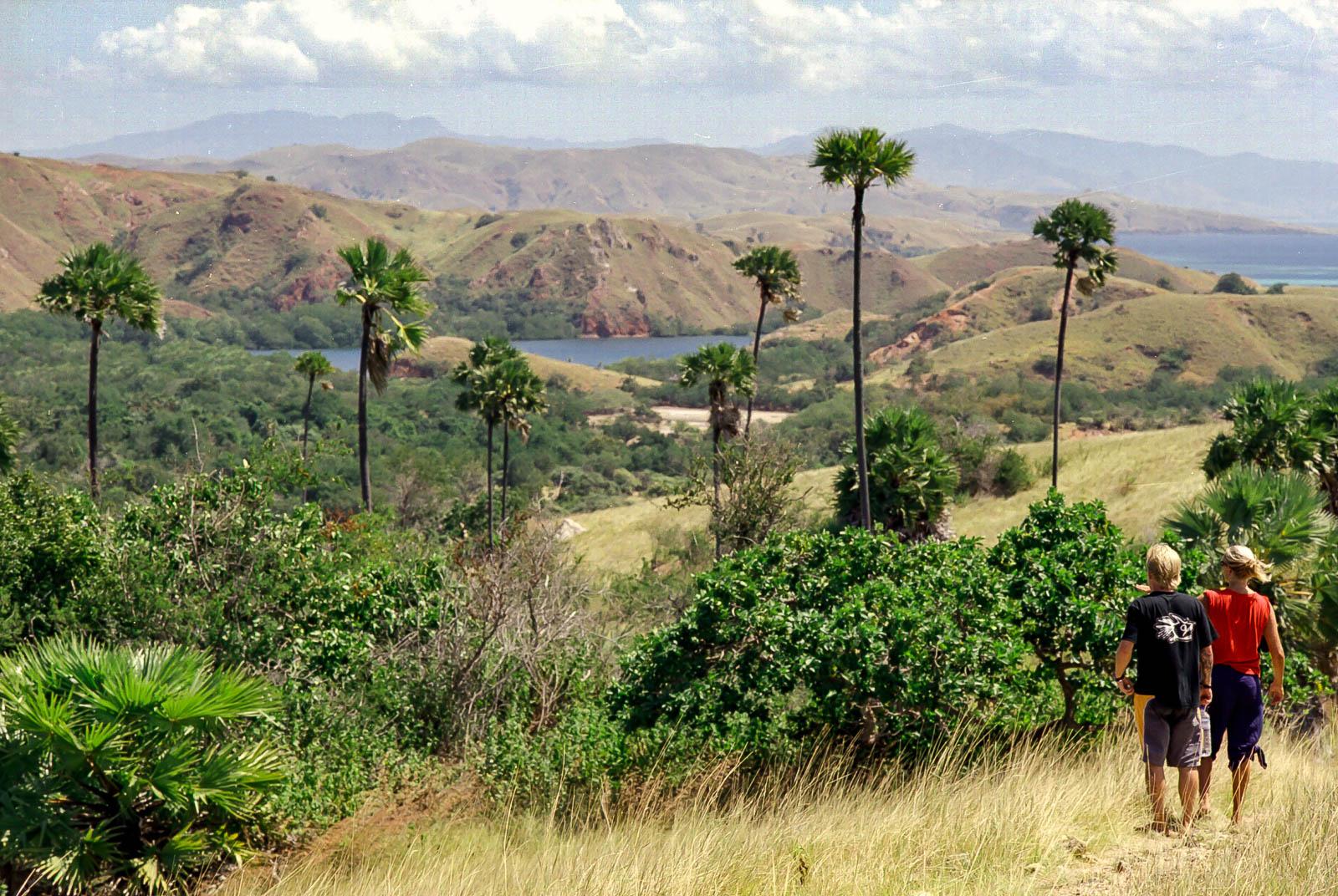 Rinca Island
