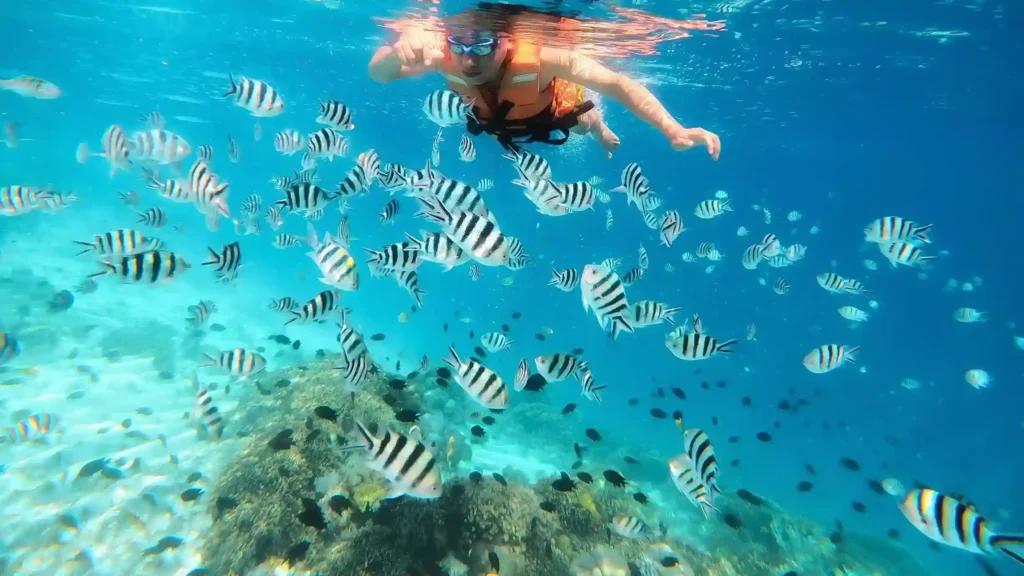 Snorkelling In Pink Beach