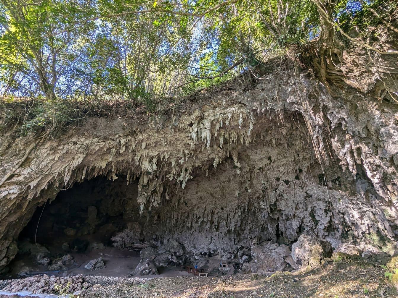 Liang Bua Cave