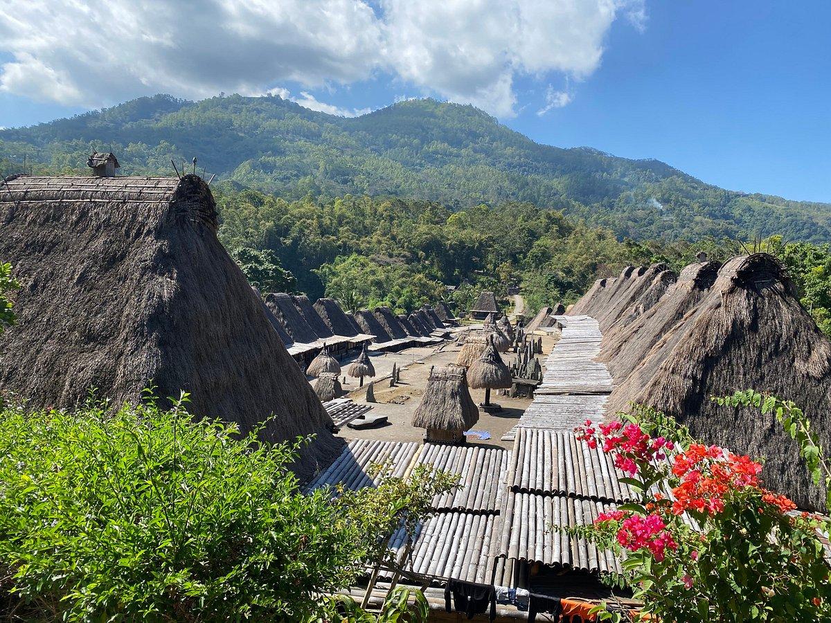 Bena Traditional Village
