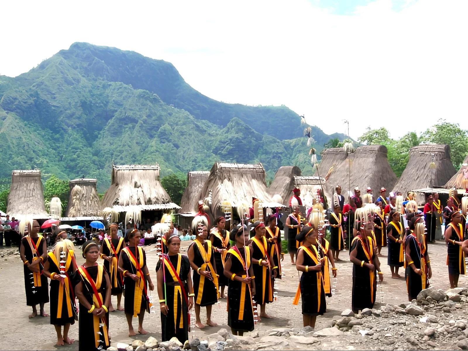 Guru Sina Village