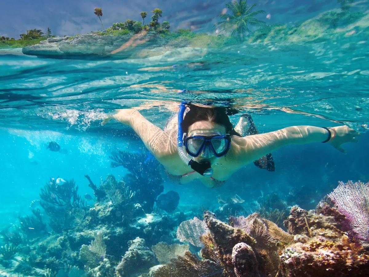 Snorkelling In Pink Beach
