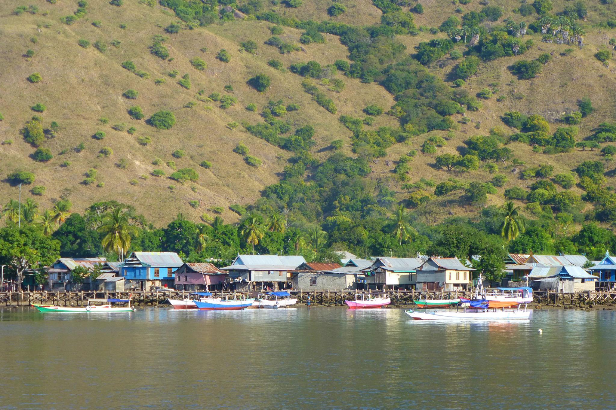 Komodo Village