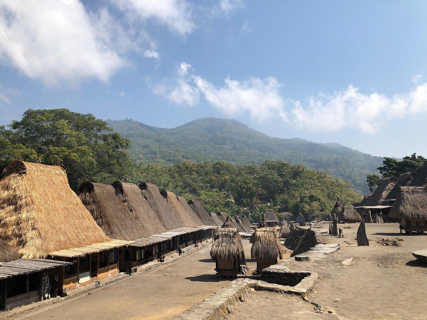 Bena Traditional Village